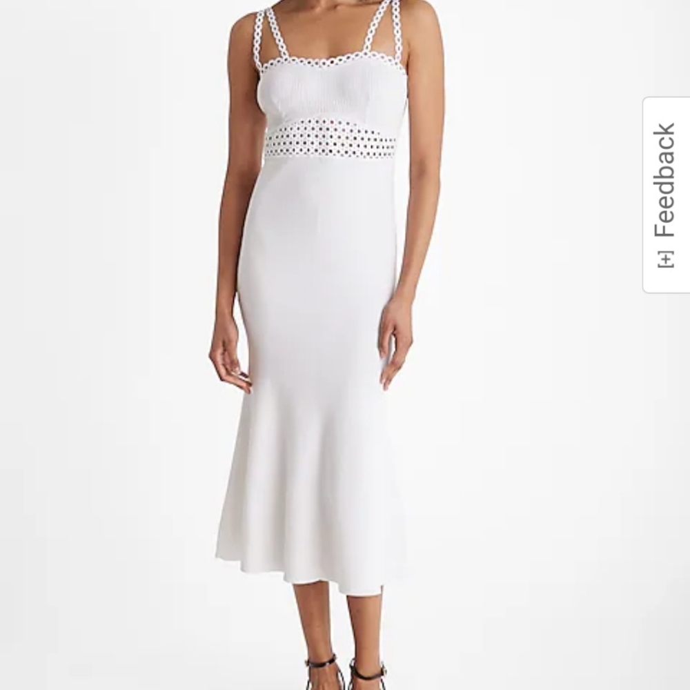 Express Crochet Ribbed Sleeveless Midi Fit and Flare Sweater Dress